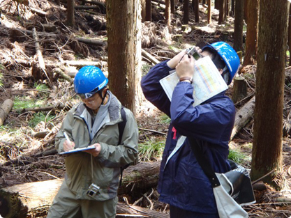 J-クレジット制度の森林検査の写真1